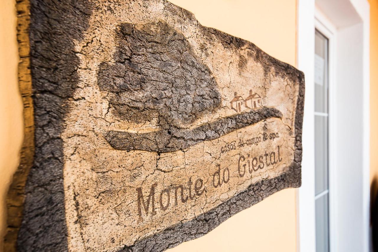 Monte Do Giestal - Casas De Campo & Spa Abela エクステリア 写真