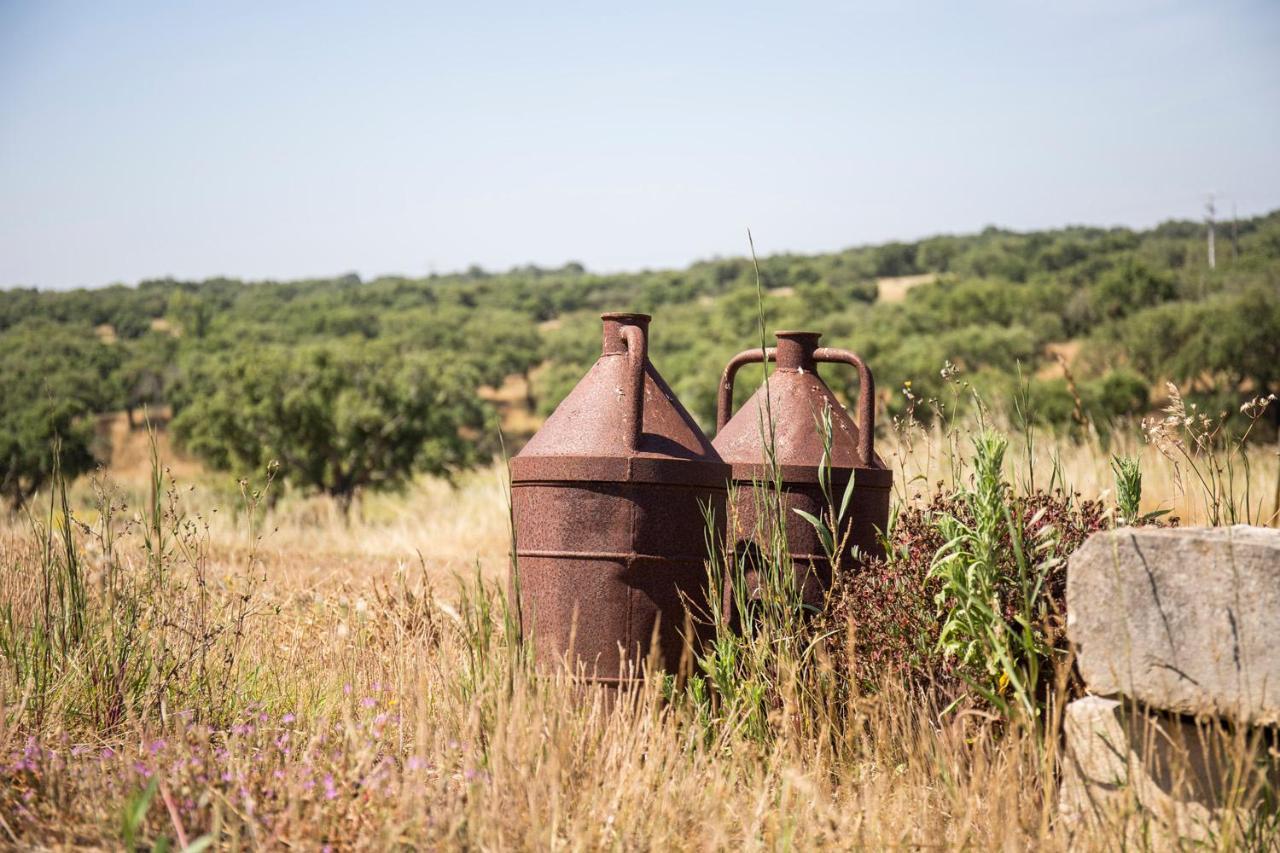Monte Do Giestal - Casas De Campo & Spa Abela エクステリア 写真